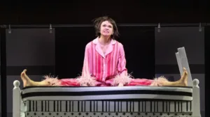 sutton foster once upon a mattress